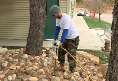 tree care in drought