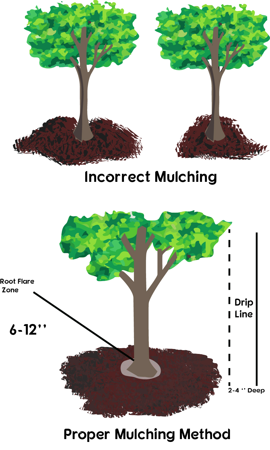 proper tree mulching