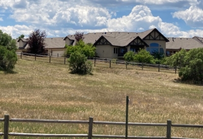 pasture-weed-control